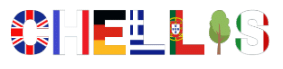 Nouveau Logo
